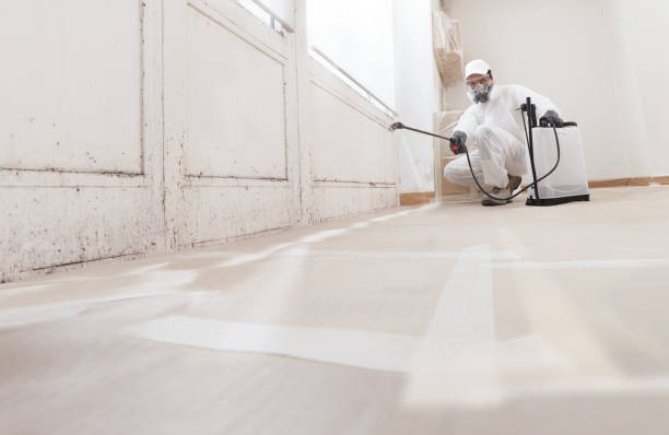 24/7 Emergency Mold Inspection experts in Warrington, PA