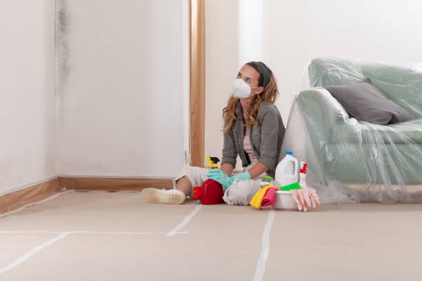 Reliable Mold Inspection contractor in Warrington, PA by WQB Mold Removal
